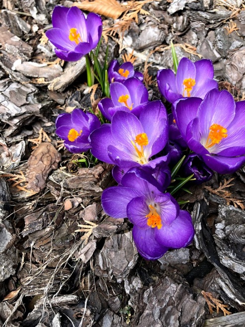 Fotografické služby — ukázka 58
