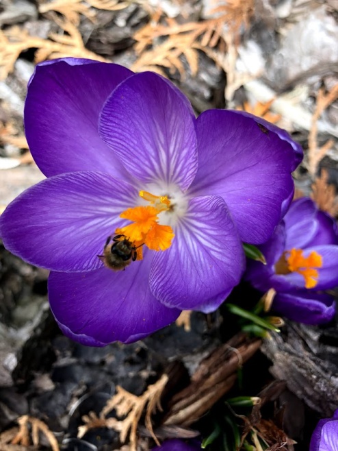 Fotografické služby — ukázka 59